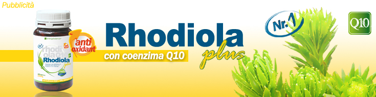 rhodiola